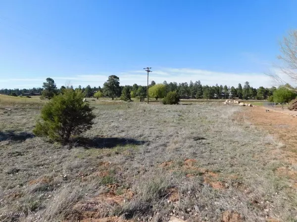 Overgaard, AZ 85933,2268 Meadow LN