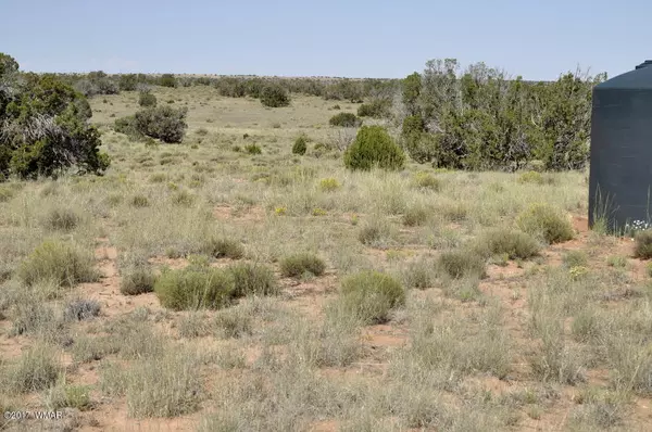 Concho, AZ 85924,441 Woodridge Ranch