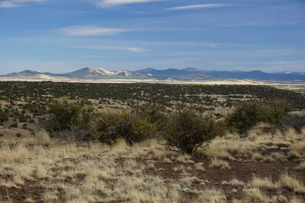 Concho, AZ 85924,Lot 121 Pine Ridge Ranch #3