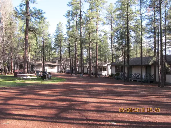 Pinetop, AZ 85935,6126 Buck Springs RD