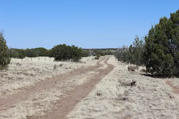 Concho, AZ 85924,Lot 142 Lakeview Ranch