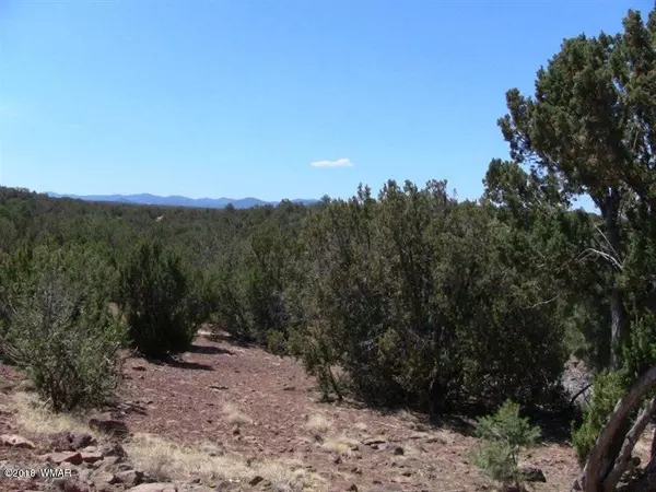 Concho, AZ 85924,21 T111N R24E Tamarron Ranch  #9