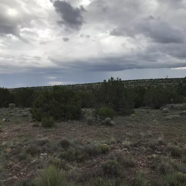 Concho Valley, AZ 85924,unit 1 Lot 1 Block 75  #1