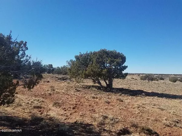 Concho, AZ 85924,Lot 61 Ranch of the White Mountains