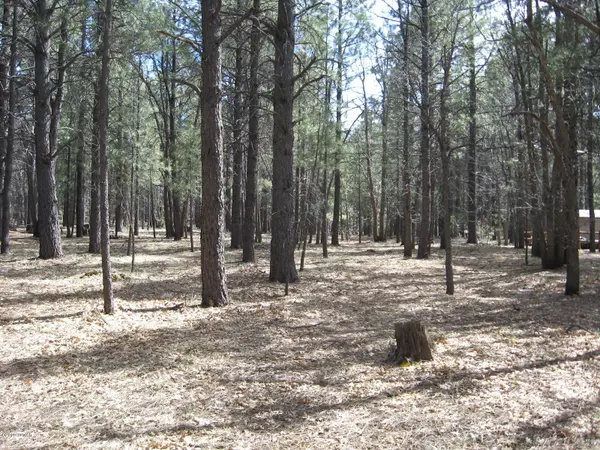 Pinetop, AZ 85935,4337 Branding Iron LOOP