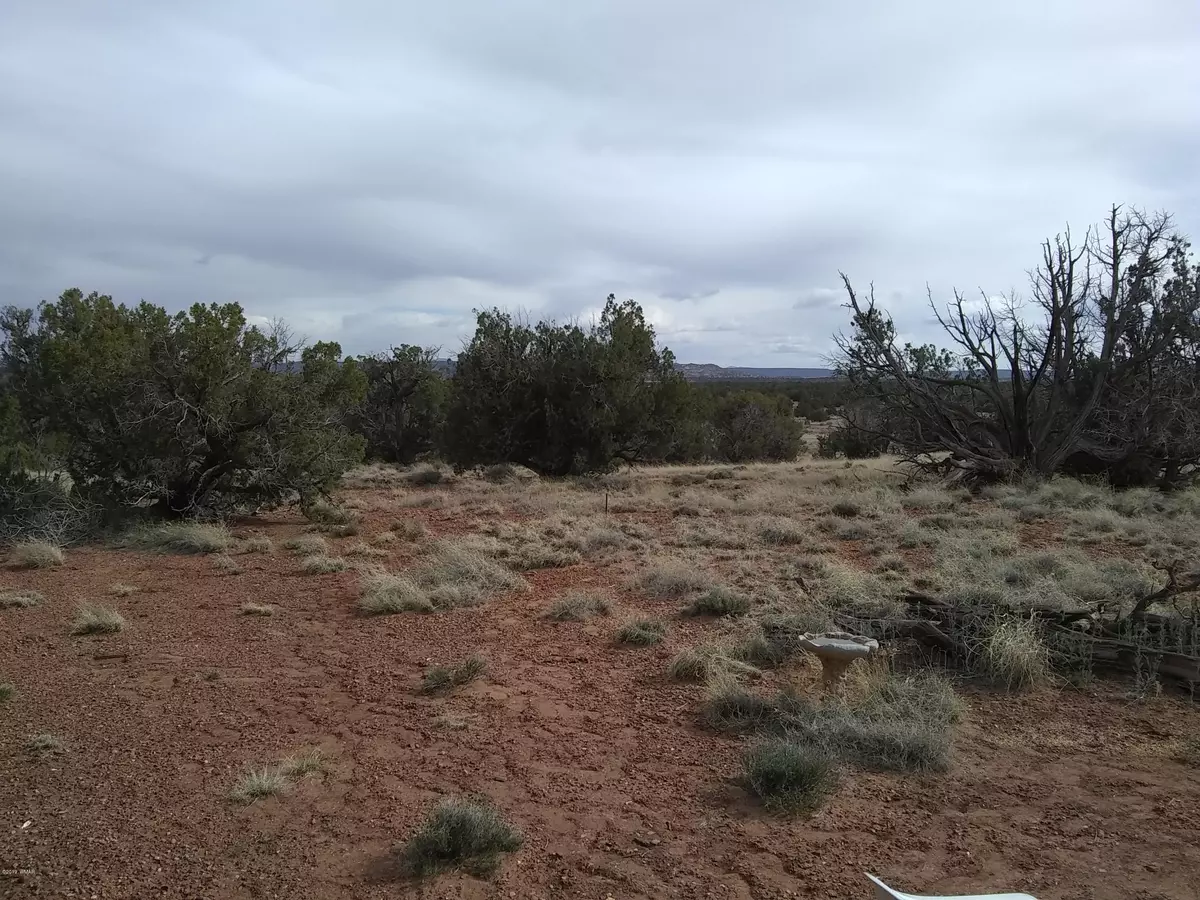 Concho, AZ 85924,Lot 172 Woodridge Ranch Unit 6