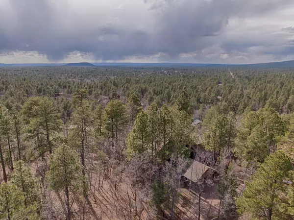 Pinetop, AZ 85935,3992 SkylineTerrace