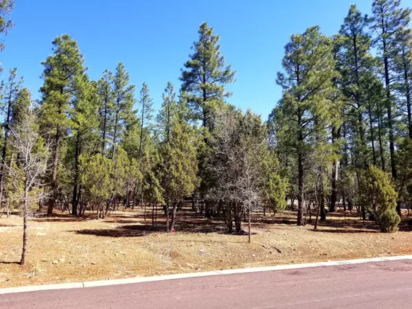 Pinetop, AZ 85935,TBD S Timber Pine & Redwood LN