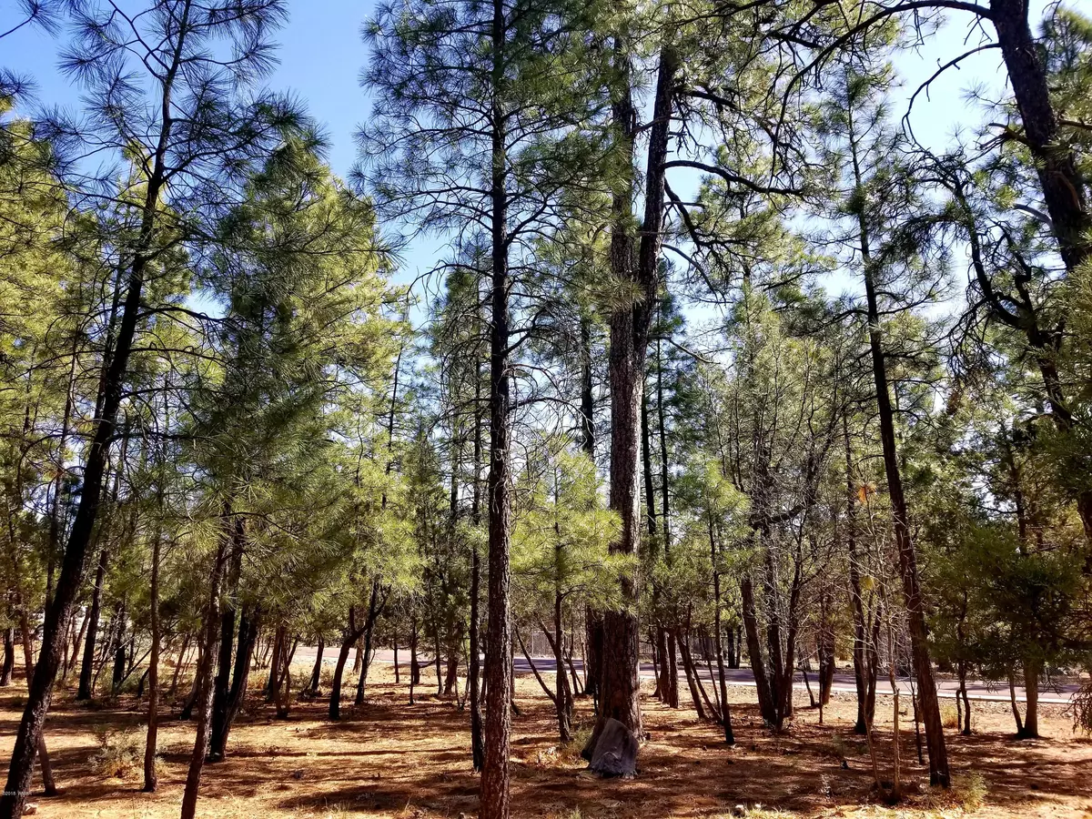 Pinetop, AZ 85935,TBD S Timber Pine & Redwood LN