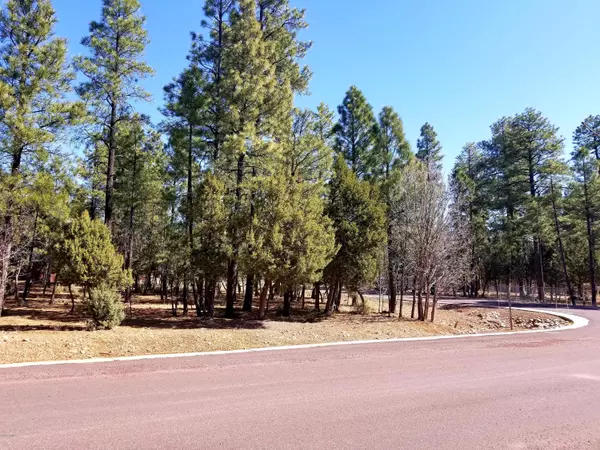 Pinetop, AZ 85935,TBD S Timber Pine & Redwood LN