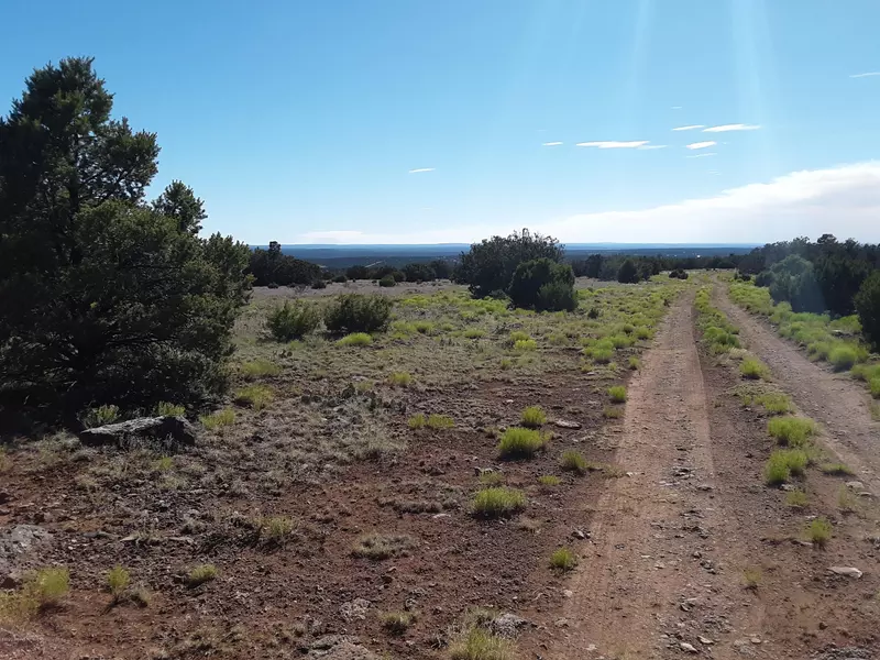 13 County Road 8059, Concho, AZ 85924