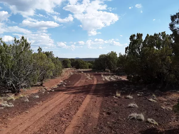 Concho, AZ 85924,Lot 140 Show Low Pines Unit 9