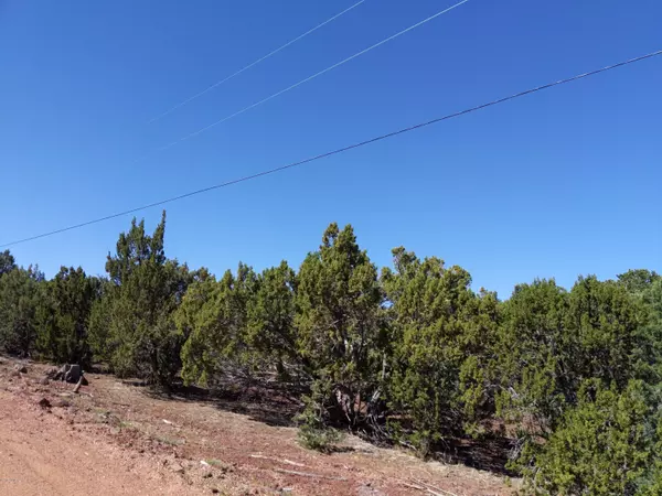 Concho, AZ 85924,lot 38 Mountain Pine Road