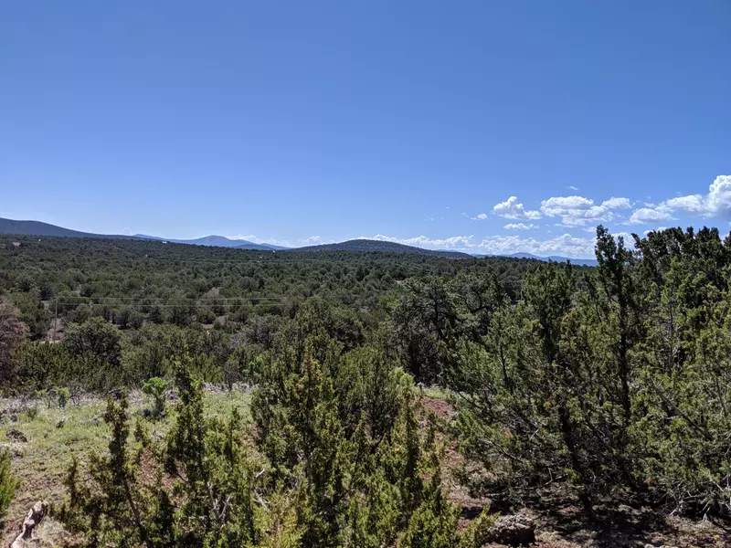 lot 38 Mountain Pine Road, Concho, AZ 85924