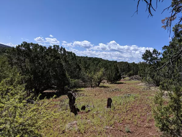 Concho, AZ 85924,lot 38 Mountain Pine Road