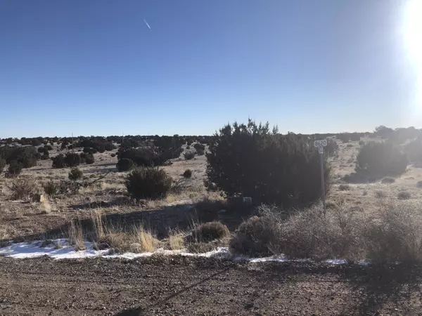 Concho, AZ 85924,lot 205 Windsor Valley Ranch