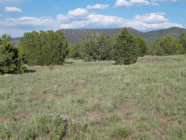 Eagar, AZ 85925,LOT 11 ELK CREST WAY