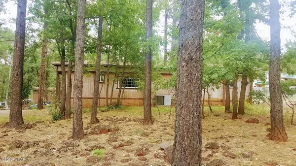 Pinetop, AZ 85935,4381 E Blue Ridge LOOP  #3