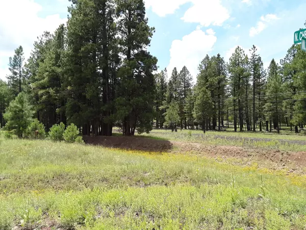 142 Aztec Circle, Pinetop, AZ 85935