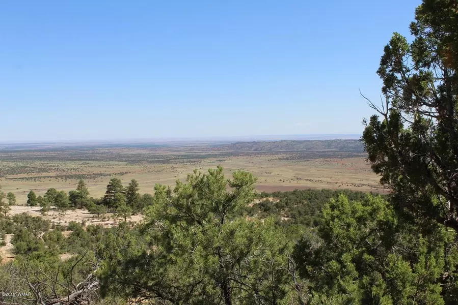 Lot 155B, Concho, AZ 85924