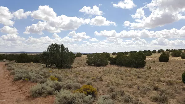 St. Johns, AZ 85936,Lot 289 Red Sky Ranches