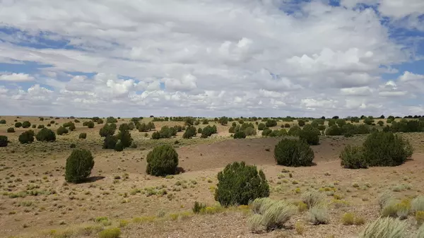 Concho, AZ 85924,Lot 73 River Meadows Ranch