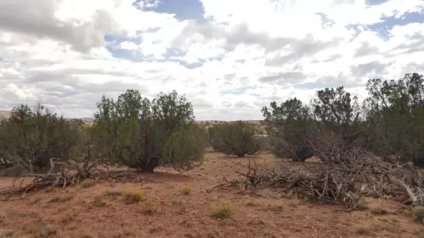 Lot 55 Green Valley Farms, St. Johns, AZ 85936