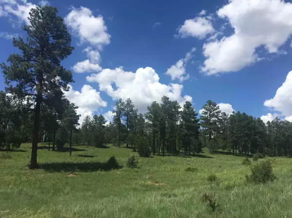 TBD Meadow Trail, Overgaard, AZ 85928