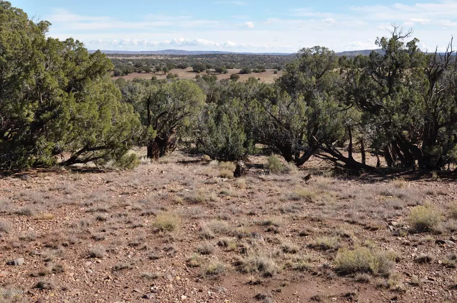 595 Concho Hwy, Concho, AZ 85924