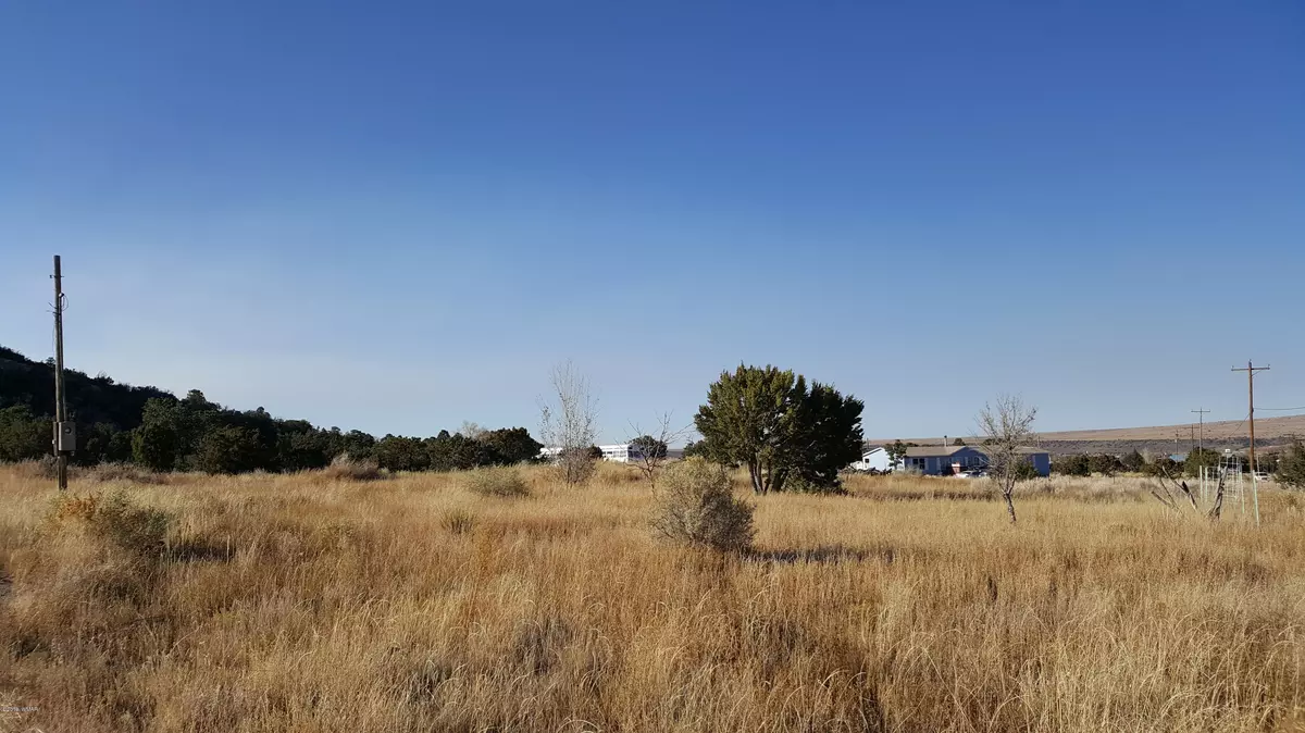 Eagar, AZ 85925,Lot 44A Wye St