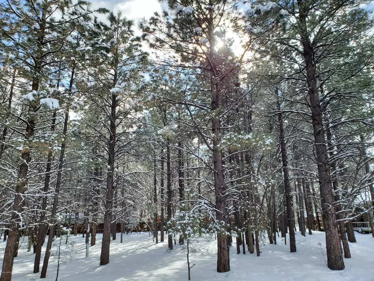 Pinetop, AZ 85935,4653 Night Hawk LOOP