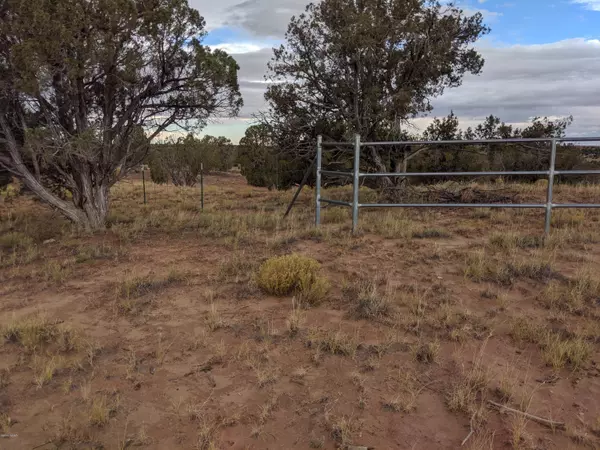 Concho, AZ 85924,Lot 83 River Meadows Ranch