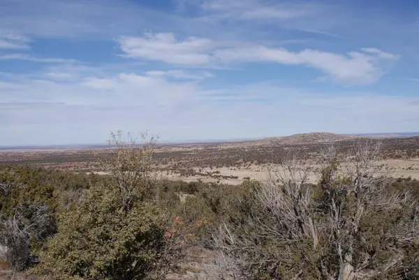 Concho, AZ 85924,TBD LOT 93 Lakeview Ranch 2