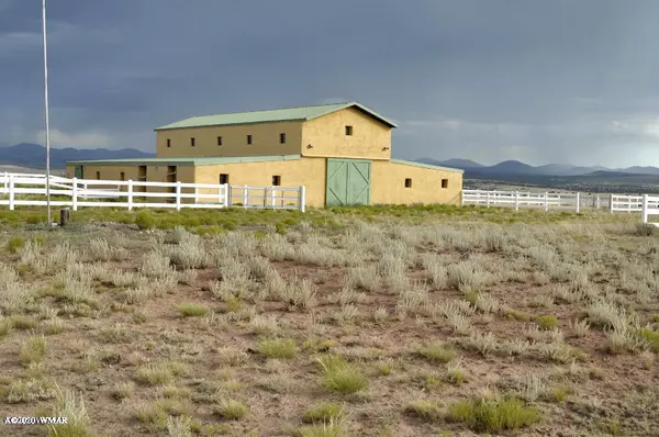 Concho Valley, AZ 85924,126 Lake View Ranch