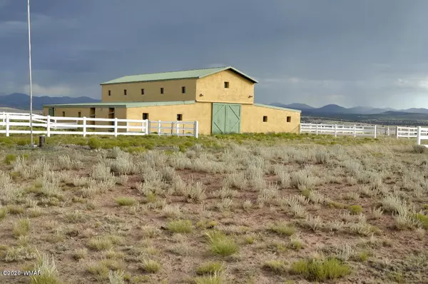 Concho Valley, AZ 85924,126 Lake View Ranch