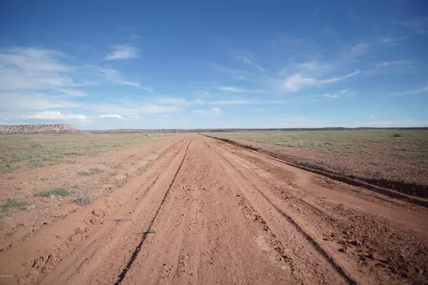 St. Johns, AZ 85936,Two Lots Bonito Valley Ranches