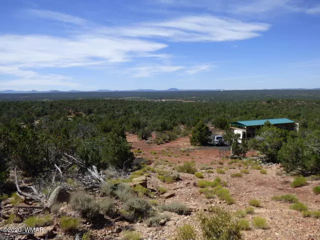 2940 Lone Star RD, White Mountain Lake, AZ 85912