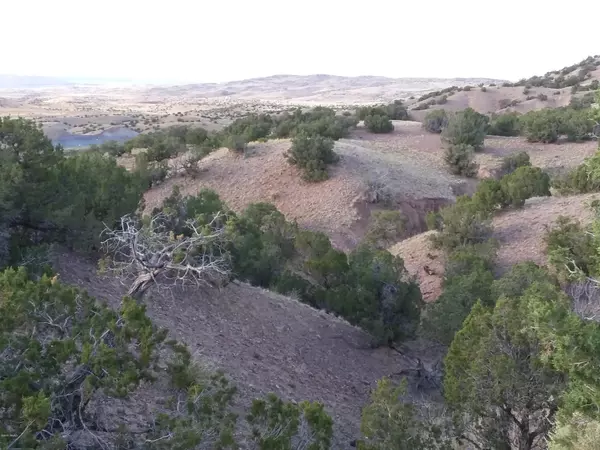 Concho, AZ 85924,Lot 3 Big Six Ranches