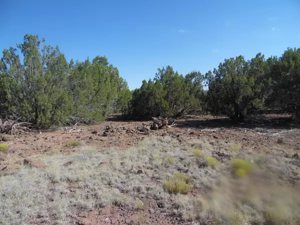 Concho, AZ 85924,51 COUNTY ROAD 8114