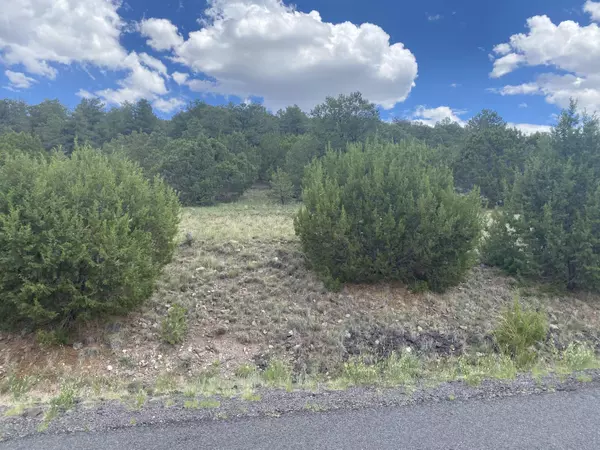 Eagar, AZ 85925,Lot 10 Spruce ST