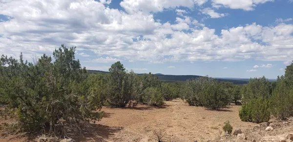 Concho, AZ 85924,TBD Ponderosa DR