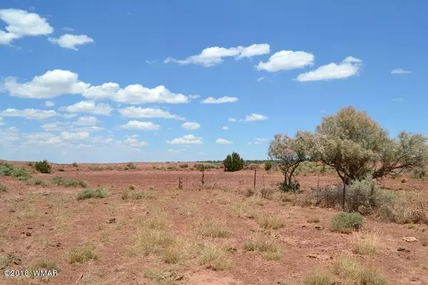 Concho, AZ 85924,TBD N Frosty Lane (9075)  #9