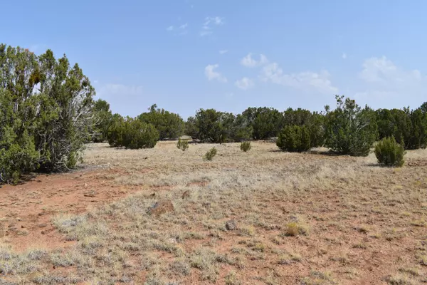 Concho, AZ 85924,39 County Road 8135