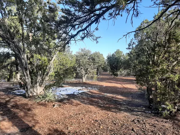 Overgaard, AZ 85933,2344 Elk Ridge LN