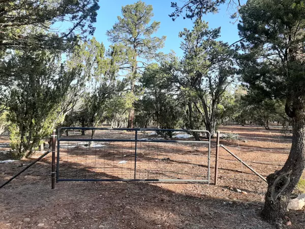 Overgaard, AZ 85933,2344 Elk Ridge LN