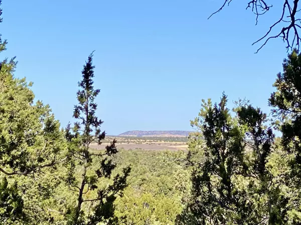 Concho, AZ 85924,19 County Road N8409