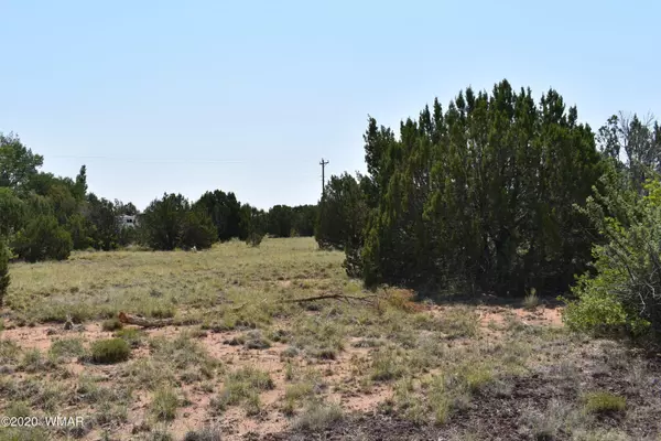 Concho Valley, AZ 85924,000 Fairway Circle