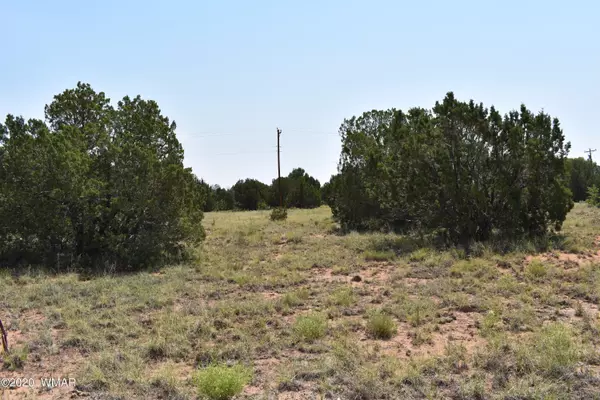 Concho Valley, AZ 85924,000 Fairway Circle