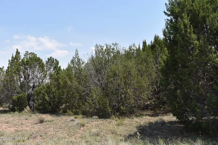 18 Fairway Circle, Concho Valley, AZ 85924