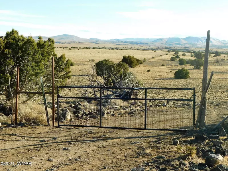 Parcel 201-66-005  #Apache County, Concho Valley, AZ 85924